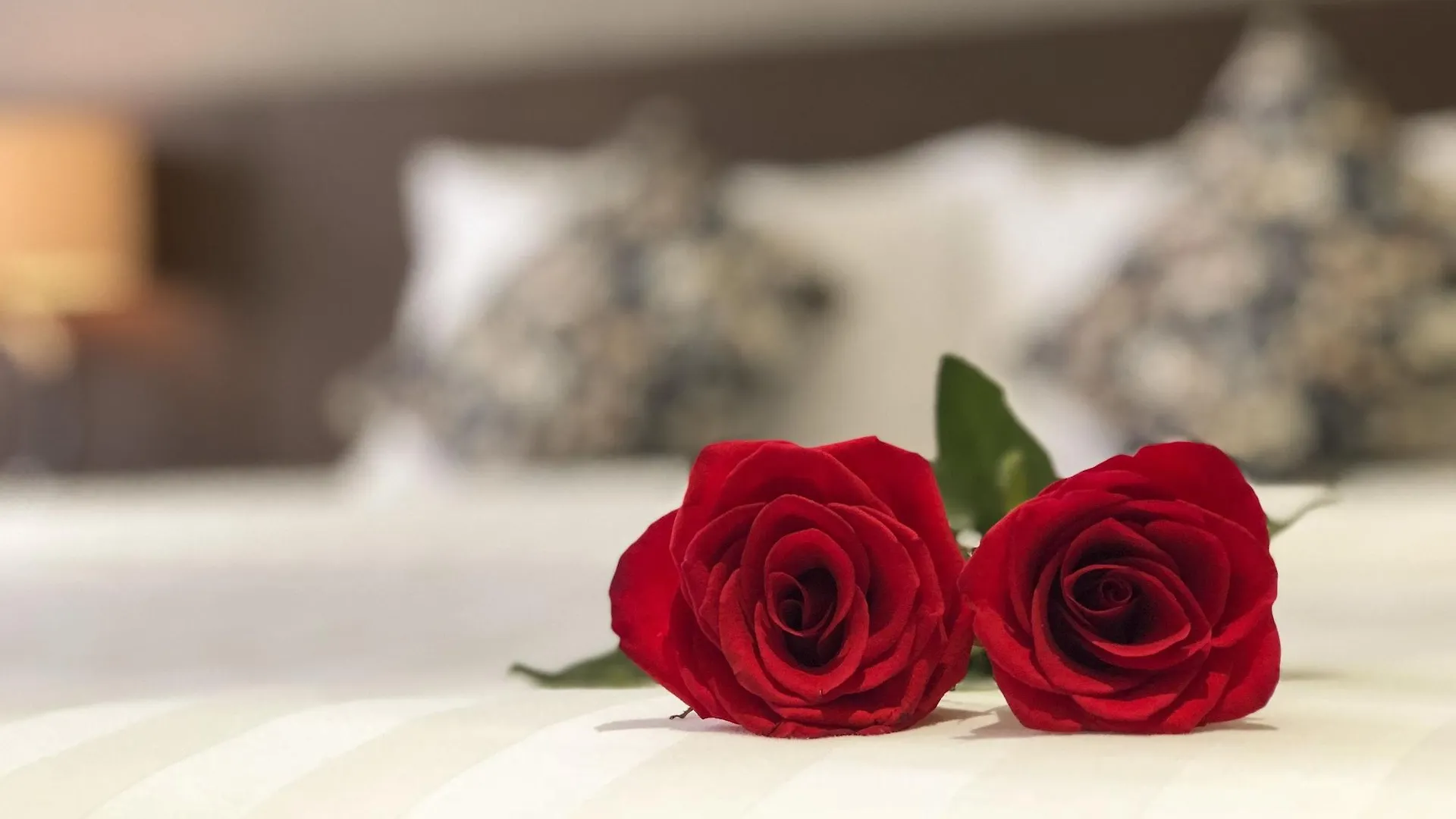 Sunny Serviced Apartment Ho Chi Minh City Vietnam